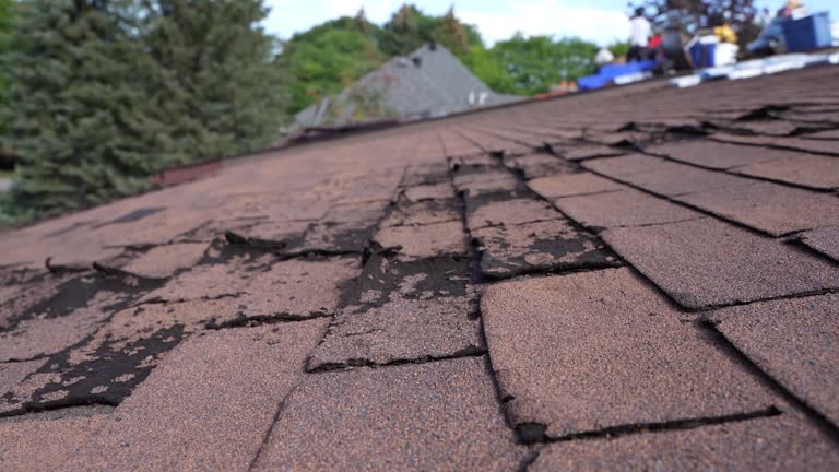 Best Metal Roofing Installation  in Cienegas Terrace, TX
