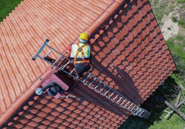 Best Solar Panel Roofing Installation  in Cienegas Terrace, TX