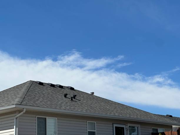 Best Chimney Flashing Repair  in Cienegas Terrace, TX